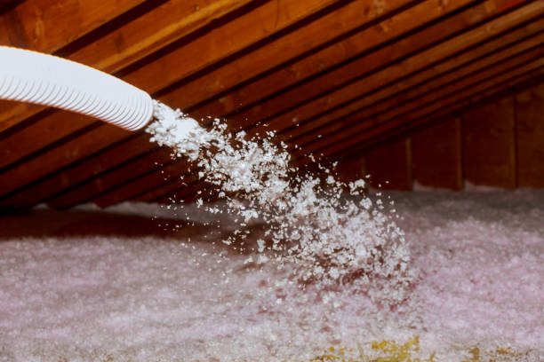 Best DIY Insulation Kits and Guidance in New Tazewell, TN