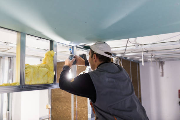 Types of Insulation We Offer in New Tazewell, TN