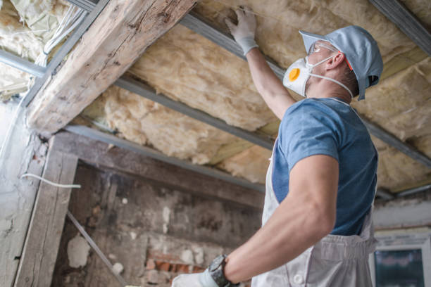 Professional Insulation Contractor in New Tazewell, TN