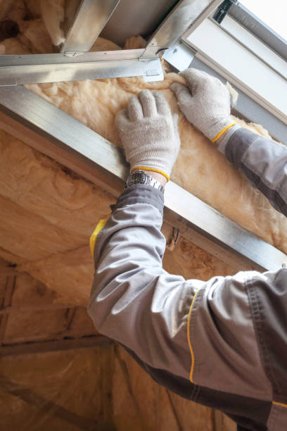 Best Residential Insulation in New Tazewell, TN