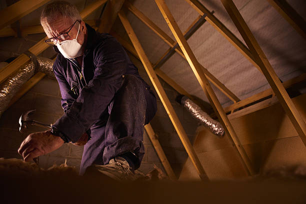 Best Fiberglass Insulation in New Tazewell, TN